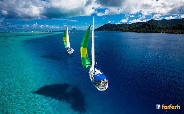 �� ����� ����� ������ �� �����