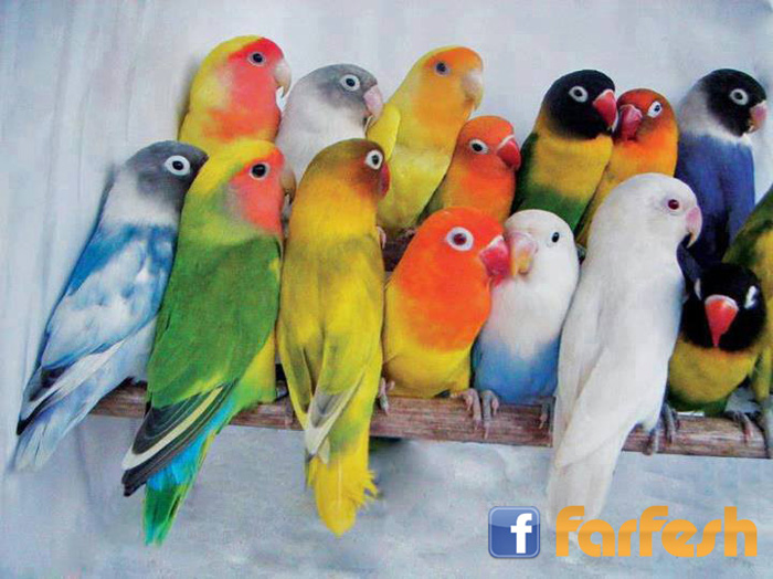 ���� ����