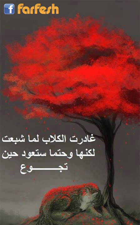 ����� ������ ��� ���� ����� ����� ����� ��� ����