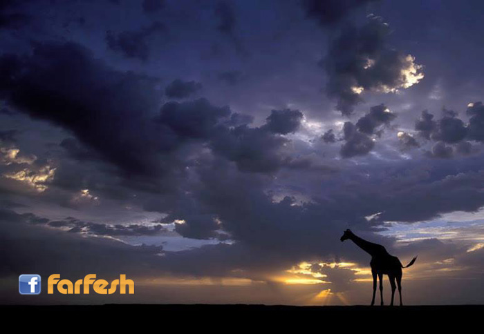 �� ���� ������ �� ����� �������