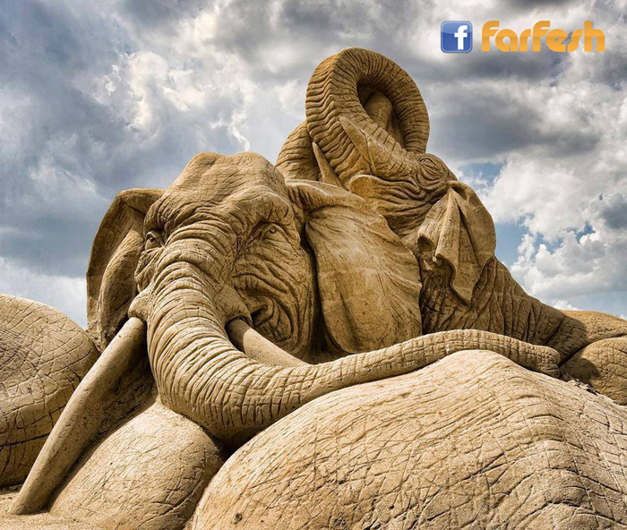 ����� �� ����� ��� ������!