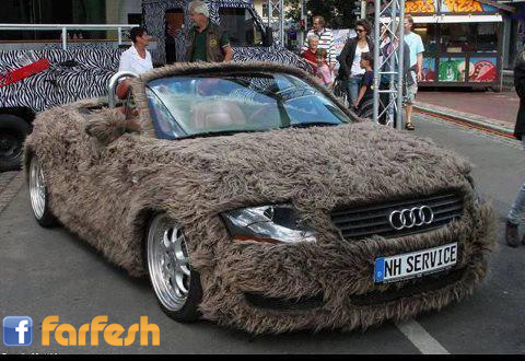 ����� �� ���� ����� ��� ������ɿ��