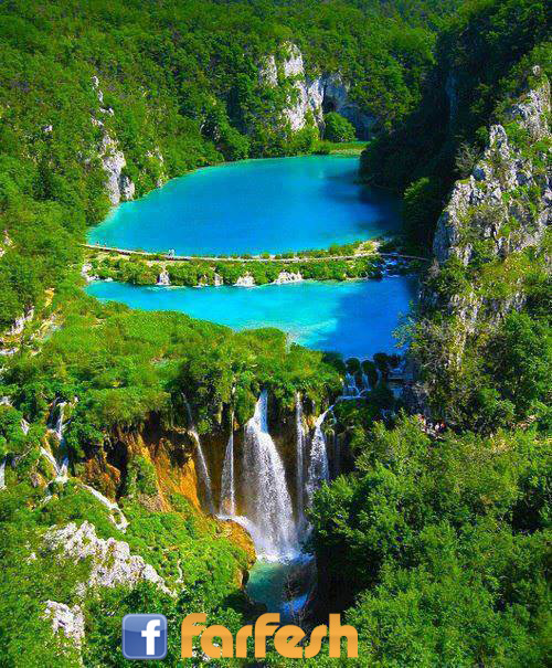 �������� ����ɡ �� �������