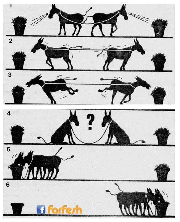 �� ������� ���