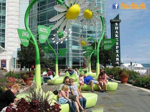 ������ ������� �� ����� ������ 