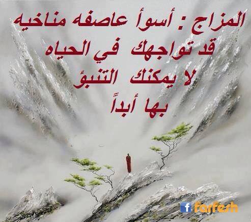 ������ ���� �����