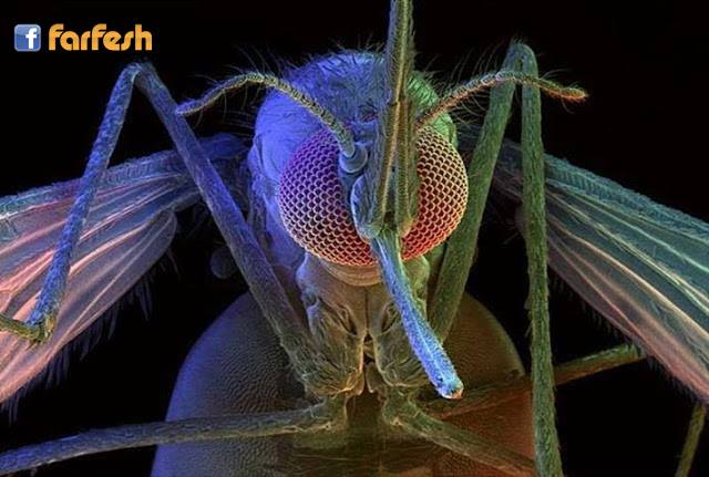 ������� ����� ����� ����� �� ��� �� ������ �� ������ !