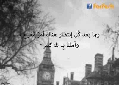 ����� ������ ���� �����