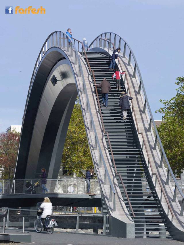 ��� ������ ������ �� ������