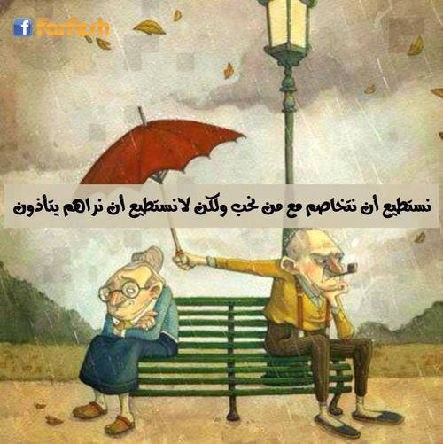 ������ ���