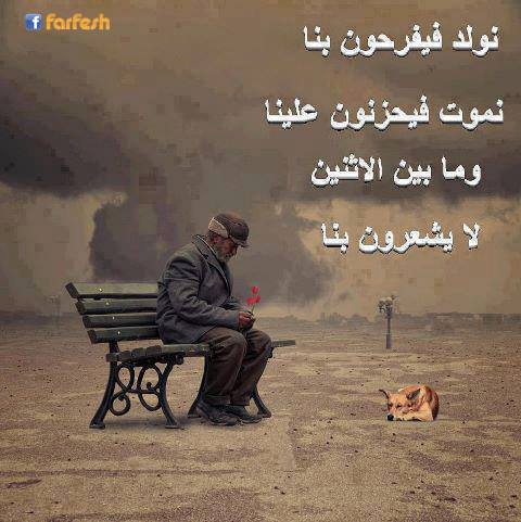 ������� 100%