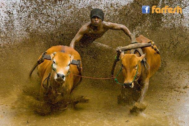 ���� ����� �� ��� ���� ���� �� ��������� ������ ����