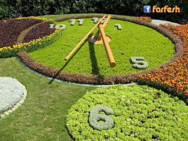 ���� ������ � ���� � ������