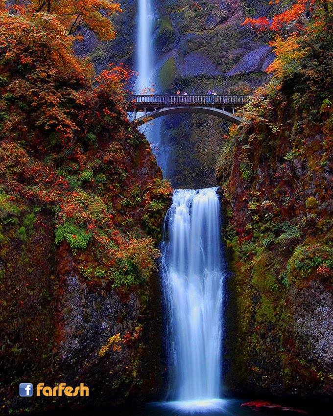 ���� ����� �� ������ ��������� � ����� ������� ���������