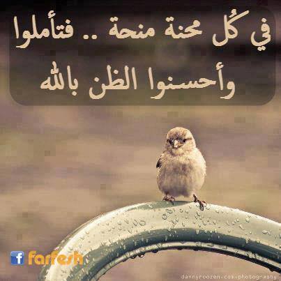 ����� ���� �� ����