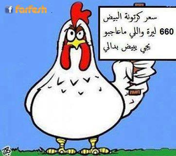 �����������������