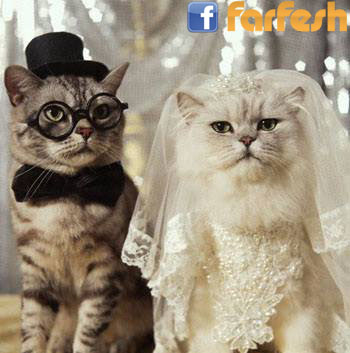 ����� �� �����