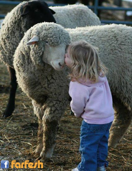 ���� ������... ��� ����� �����?