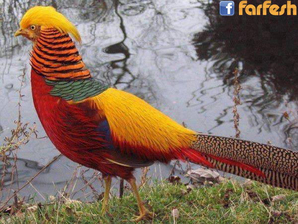 ���� ������ ������ �� ���� ������ ������� �� ������