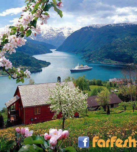 ������� ������� �� �������