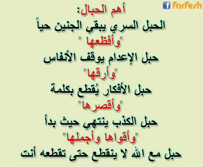 ���� ���� ������