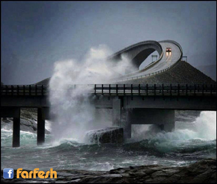 ���� ����� ����  ��� �� �������