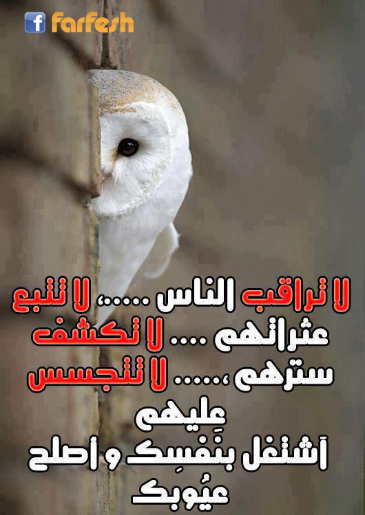 �� ���� ����� ��� ���