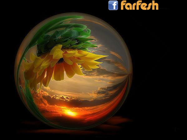 ��� �����