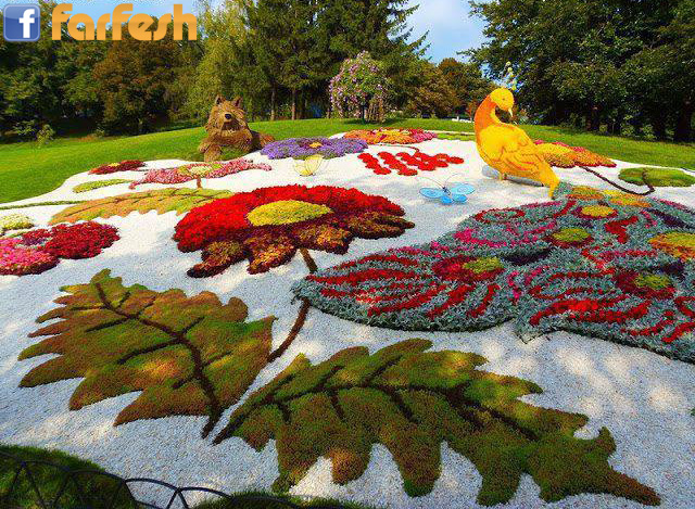 ���� �����