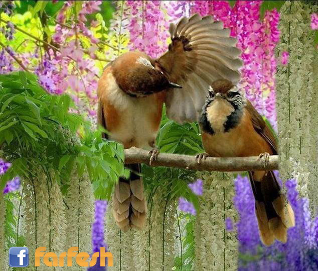 �� �����!!!!!