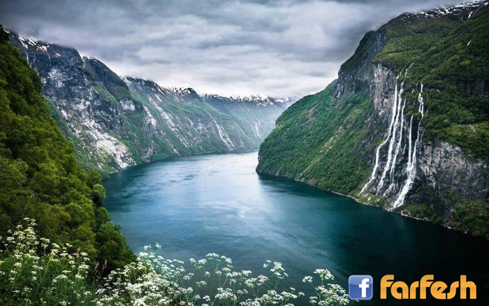 ���� �������� - �������