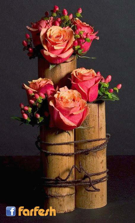 ���� ��� ��� ������