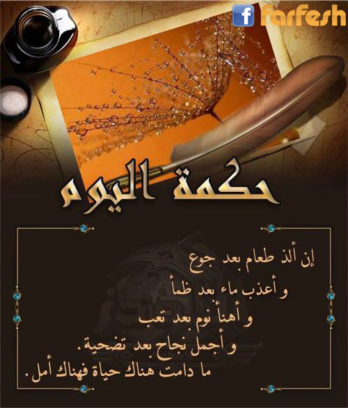 ���� �����