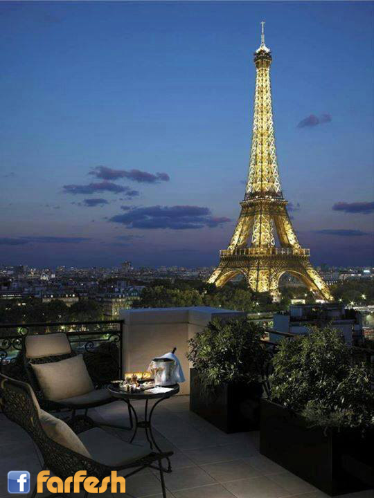 ���� ����� ������� ����� ��� ��� ����� 