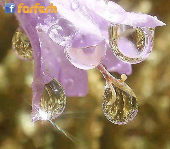 ����� �� �����