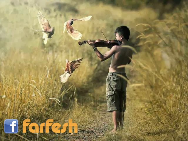 ������ ���� ��� ��� ������