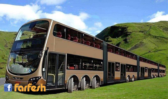 ���� �����