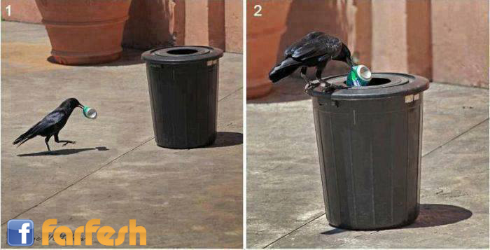 ��� �� �� ����� ���� ��� ��� ����� � ���� ��� ������