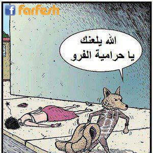 ��� ����� ���������