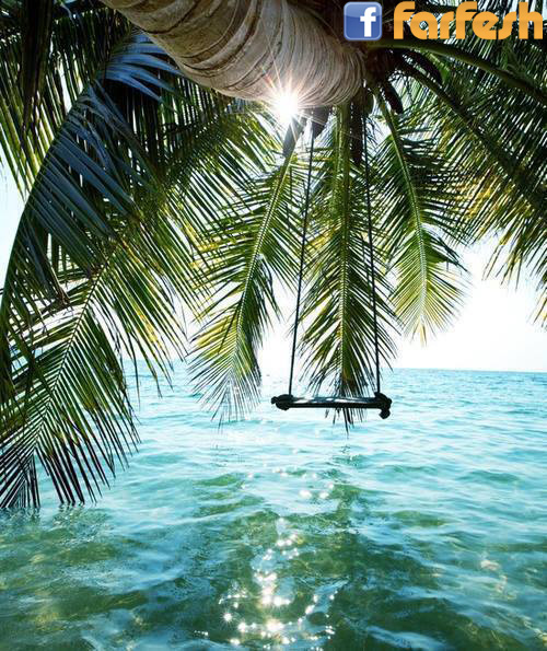 ���� ��� �� �������