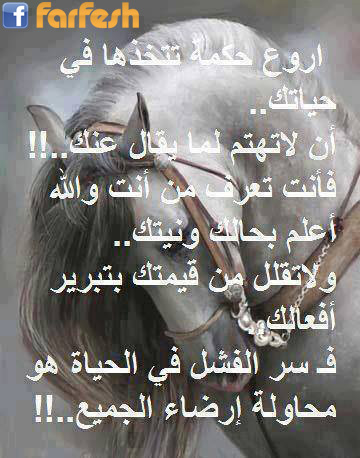 ���� ����� ������� �� ��������� �� ���� �����