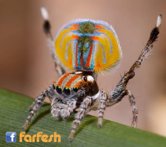 ������ ������� �� ���� ����� ������