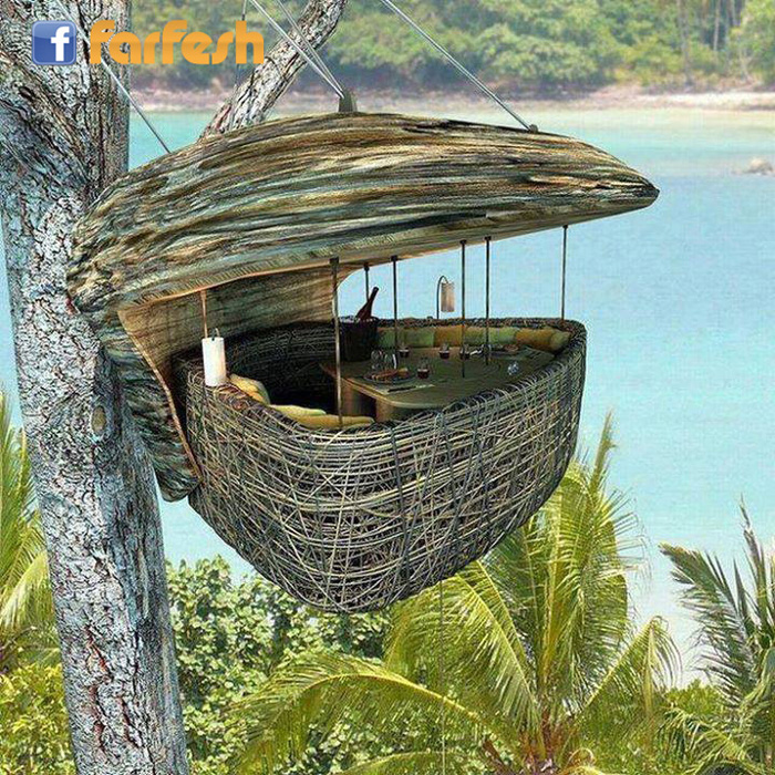 ����� ������ �� ���� ������ ���� ������ - ����� �� ��� �� �������