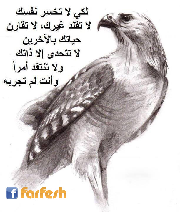 �� ���� ���� ��� �� ���� ������