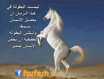 ��� ����� ���� ����� ���� ����� �� ���� ���� ���� �����