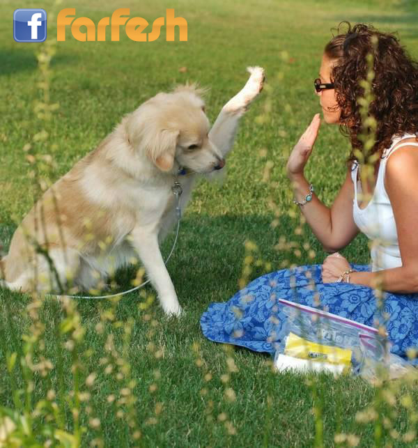 ����� ��������