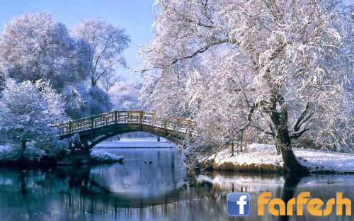 ���� ���ڡ ������