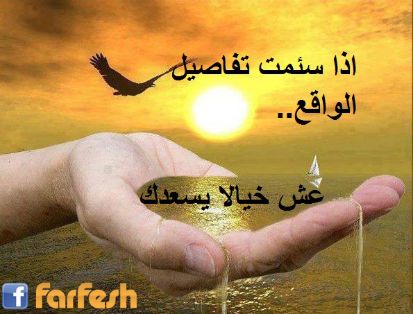 ��� ���� ������ ������..�� ����� �����