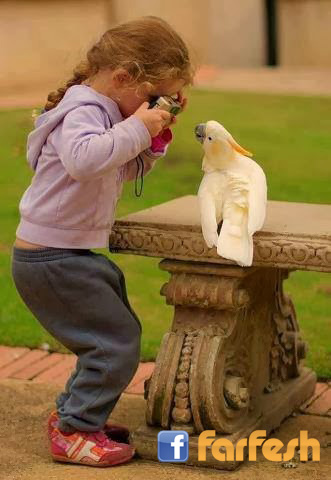 ������ ��� !!!