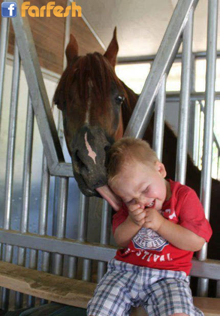 ����� �������